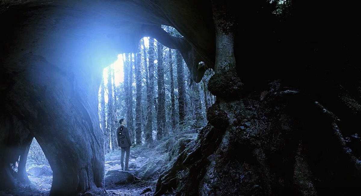 踏青好去處！雙北8個絕美山林祕境：歌神MV拍攝地、飛瀑仙水、半空中步道
