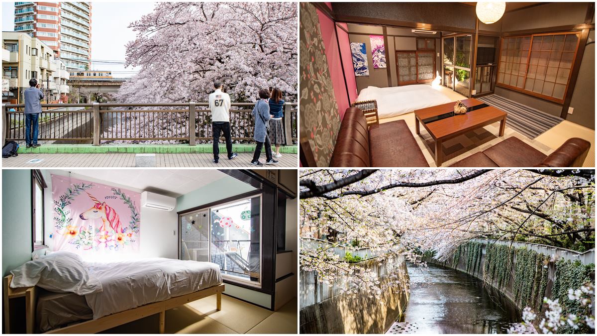 東京最浪漫賞櫻景點！火車伴櫻花海、粉紅獨角獸民宿，每個角落都美拍