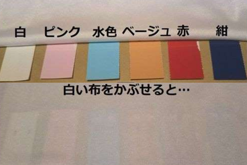 日本時尚網紅實測8色內衣！最容易透出走光的竟然不是黑，而是是「這色」