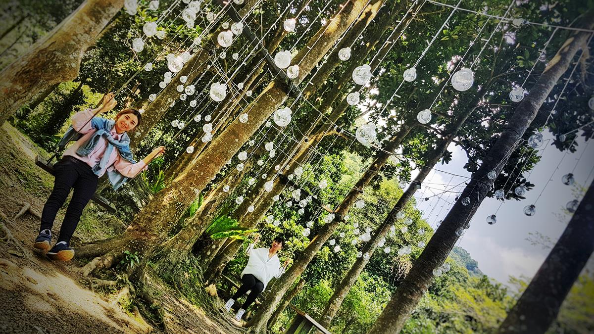 隱藏版夢幻秘境！宜蘭最新「迷藏計畫」滿山螢火蟲、森林拍美照