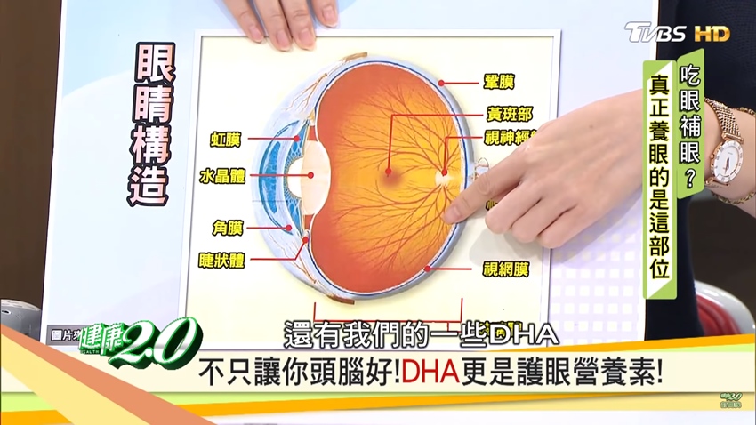 保護眼睛非DHA不可？專家說原來是這３個原因