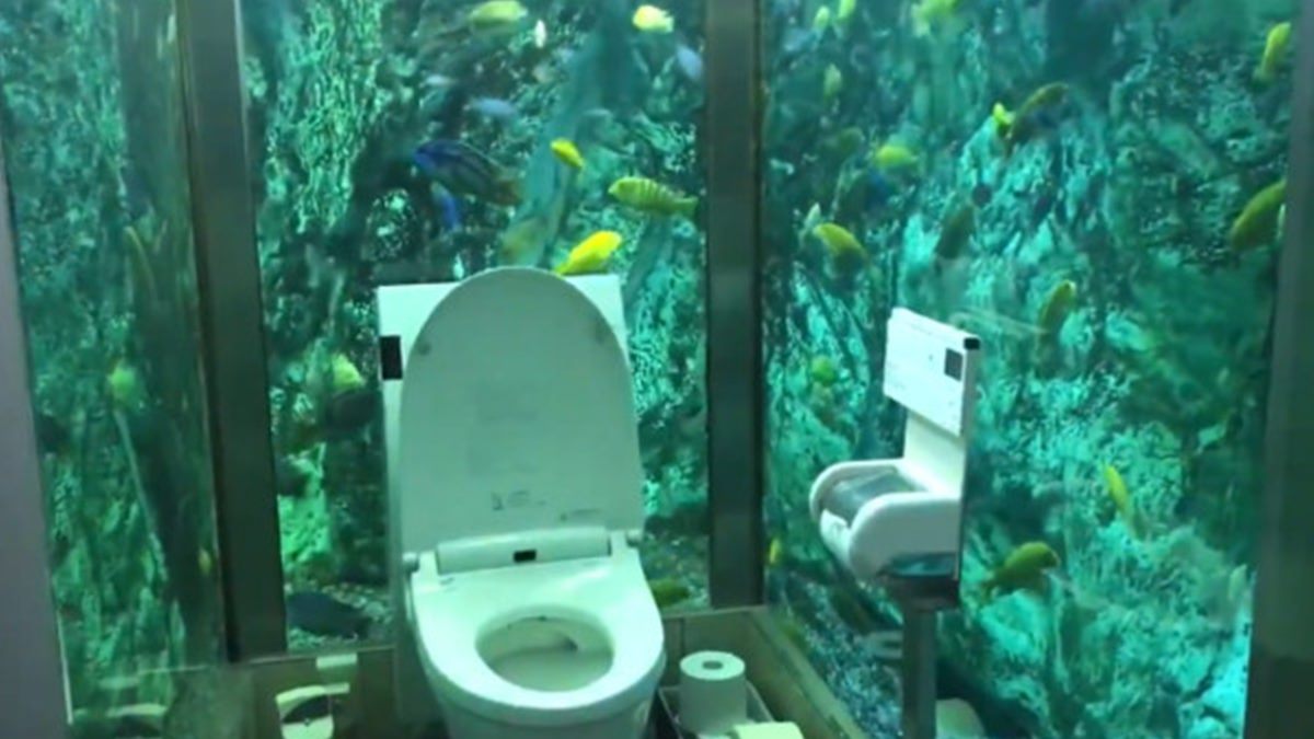 直接看你噓噓！日本打造3000萬「水族館廁所」 網驚呼：好衝擊！