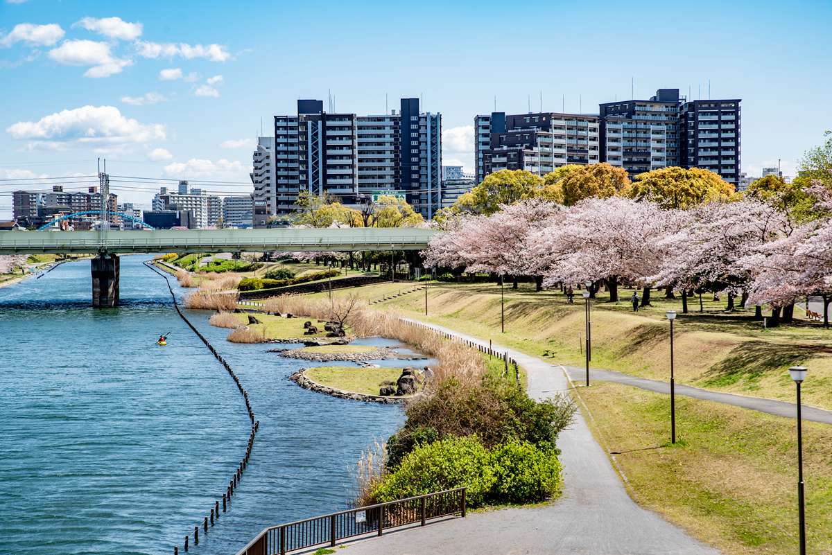 日本東京龜戶中央公園賞櫻旅遊