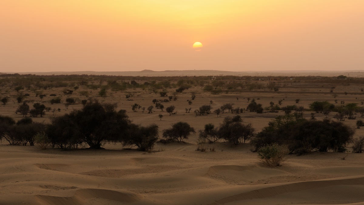 驚奇之旅！騎駱駝勇闖印度大沙漠：被遺棄的城鎮、絕美夕陽、野炊「恰巴提」