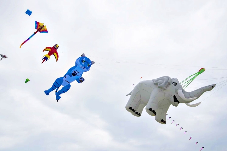 大象在天上飛！新竹風箏節主題「空中動物園」超萌，只有這兩天看得到