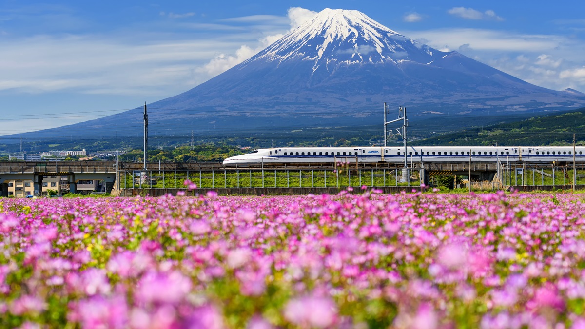 少一個動作噴1000！明年5月起攜「大行李」上日本新幹線需預約