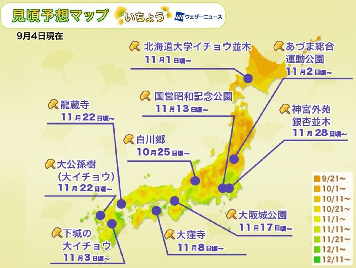 日本「滿開預測」出爐！浪漫秋楓、金黃銀杏，這時拍最美