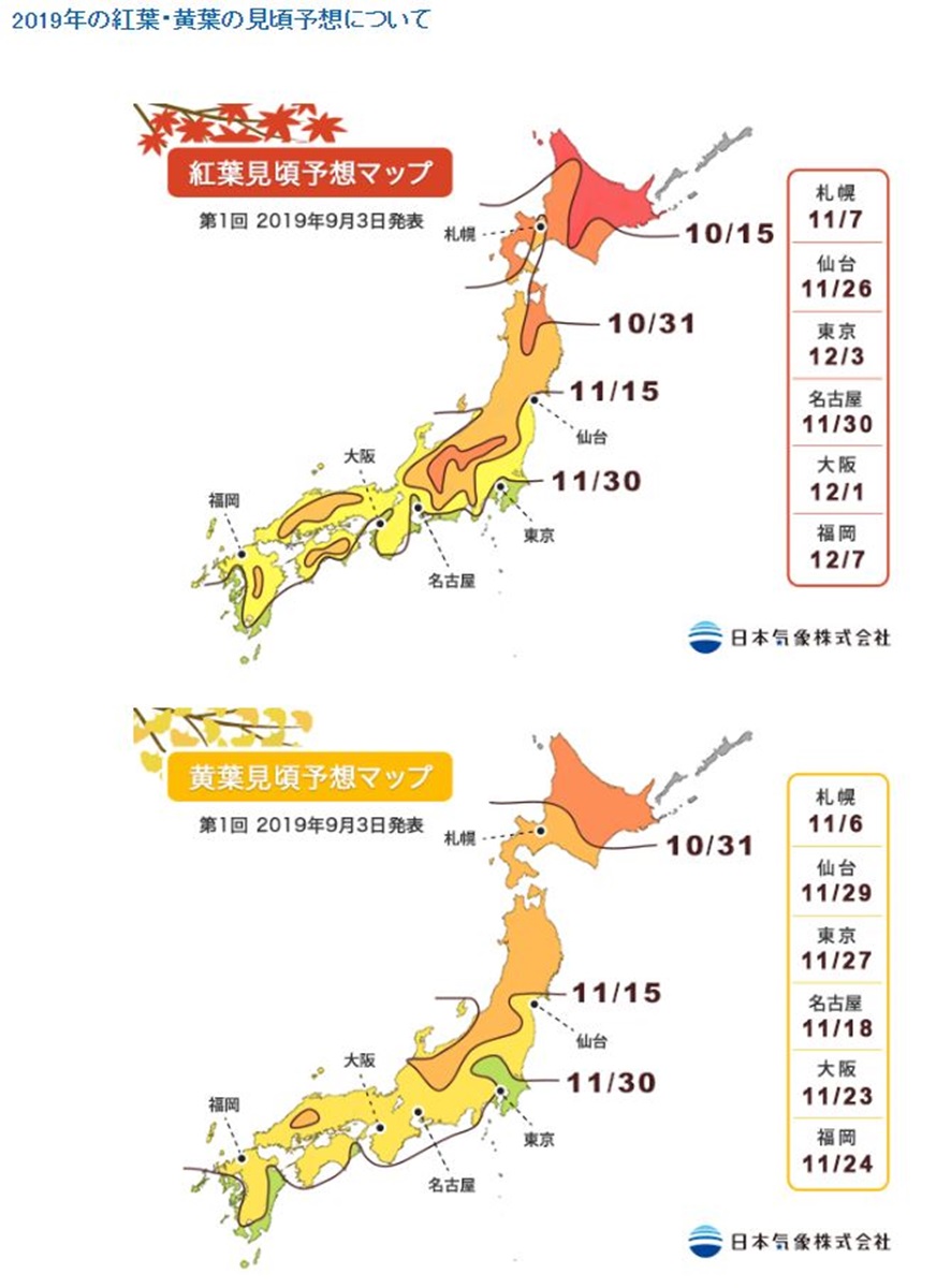 日本「滿開預測」出爐！浪漫秋楓、金黃銀杏，這時拍最美
