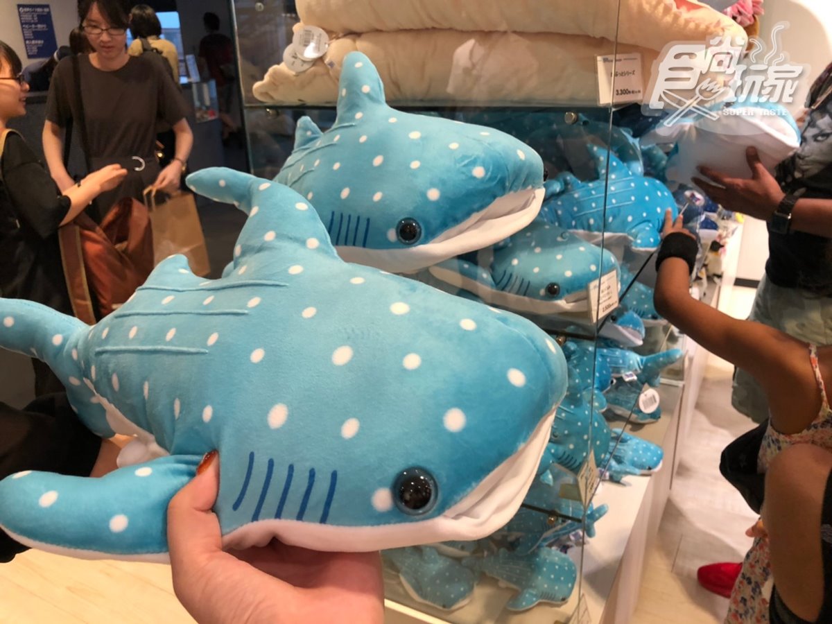 置身在海洋中 世界最大 日本大阪海遊館 看超萌海豹 鯨鯊 摸魟魚 食尚玩家