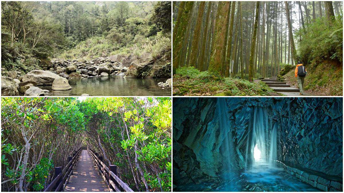 好玩又美拍！全台17條超輕鬆步道：彎月洞穴、巨樹迷宮、龍貓森林