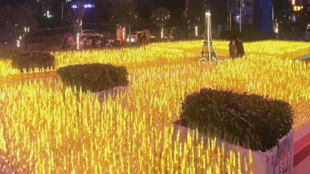 全台唯一「發光金針花」這裡看！限定50天兩千株地景花海＋夜光遊樂園