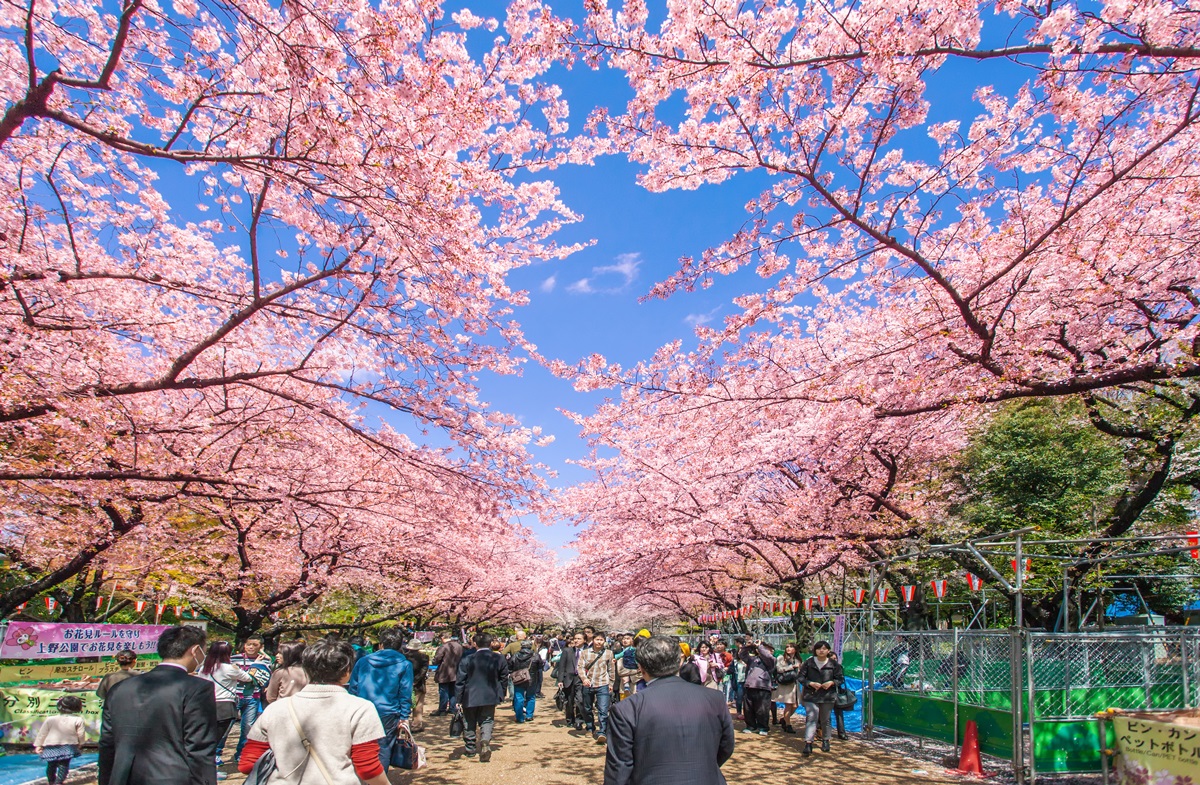 不到500元住東京 上野最新 網美旅宿 車站走路2分鐘 賞櫻勝地在旁邊 食尚玩家