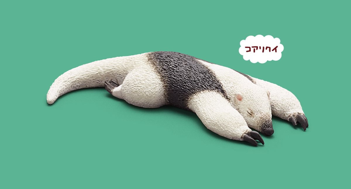 好想跟著睡！最新「休眠動物園公仔」，熊貓之穴派出豬豬、駱駝表演厭世睡