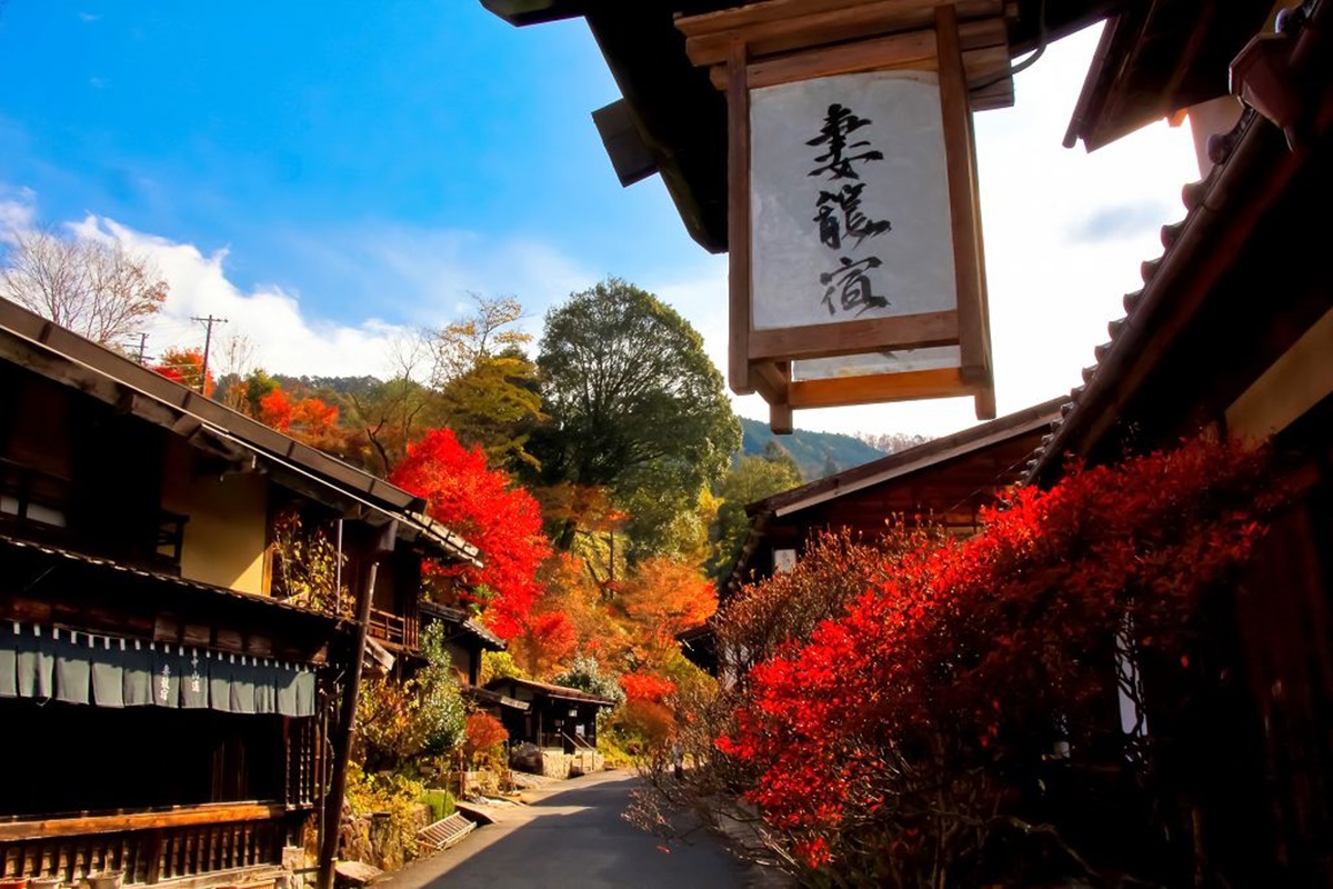 日本秋季限定「祕境巴士」！下車就到江戶老街、楓紅古道、限定「光芒之美」宅院