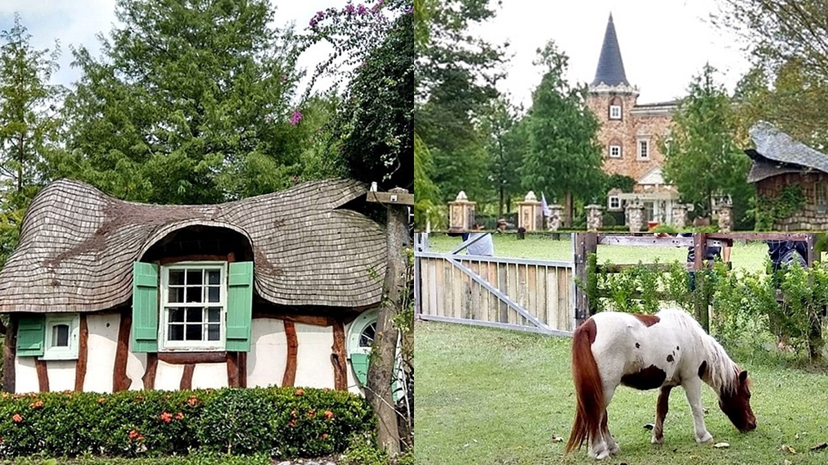 網美暴動了！最新「精靈小屋咖啡店」一秒到歐洲，還能拍到小馬和城堡