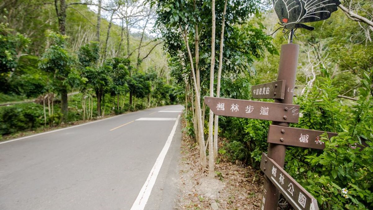 現在去拍最美！北中南7大絕佳賞楓點：京都風雙拱橋、鴛鴦湖步道、豔紅燈海公園