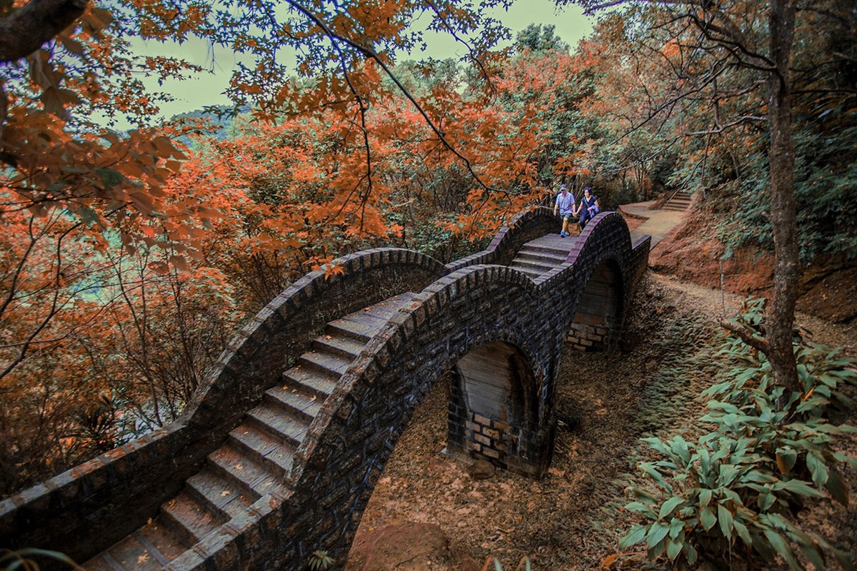 現在去拍最美！北中南7大絕佳賞楓點：京都風雙拱橋、鴛鴦湖步道、豔紅燈海公園