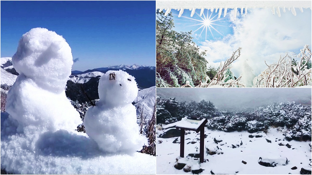 搶堆第一個雪人！冷氣團猛襲台「今晚急凍11度」，合歡山、玉山「初雪時間」曝光