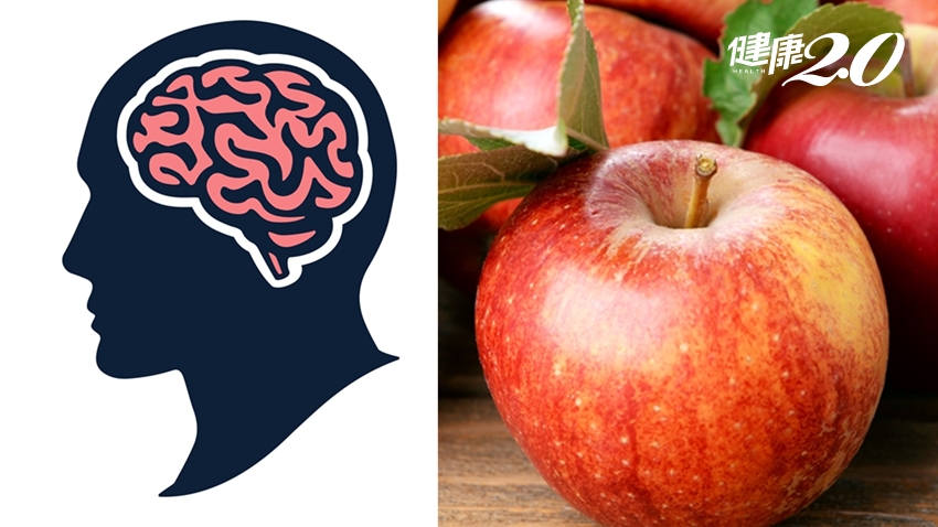 美國癌症學會也推！蘋果是「記憶果」有益大腦、防高血壓