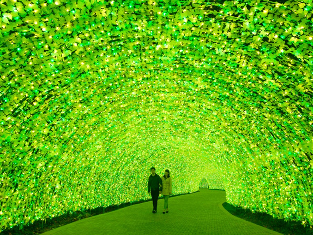 橫跨三縣免費進場！衝「最大燈光節」拍奇蹟櫻花、地球燈景、100公尺油菜花光廊