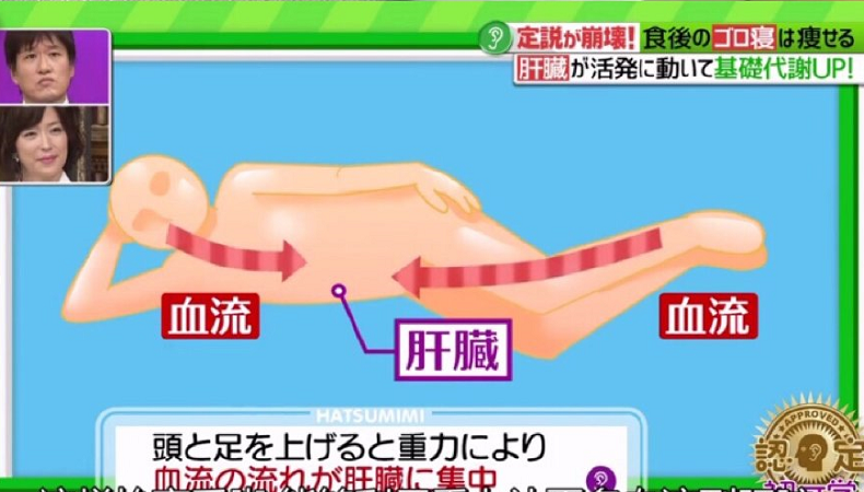 吃飽攤著就會瘦！轟動日本「廢柴減肥法」關鍵原因就在這個器官