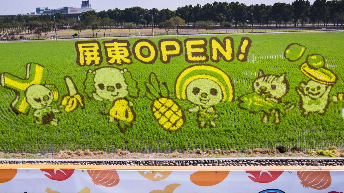 彩色稻子畫出「OPEN小將」，2020農博免費入場，拍花海、採果、玩DIY