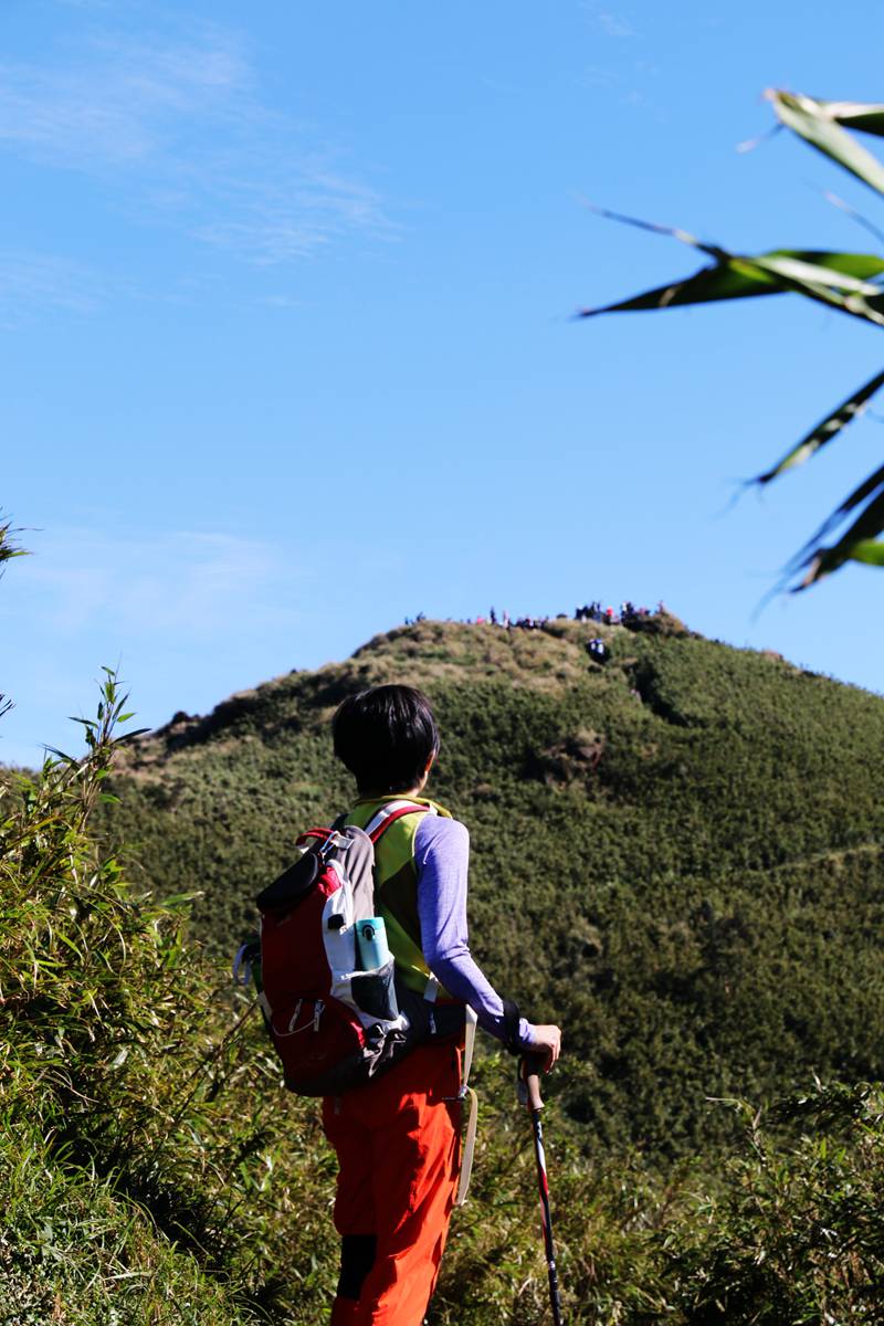 台灣唯一火山步道，台北最高峰七星山輕鬆登頂路線，幼稚園小孩都能走