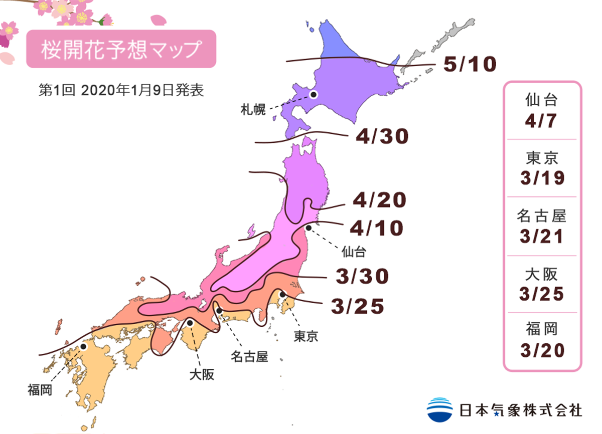收這張圖訂機票！2020日本櫻花特報，京都、大阪滿開時刻「巧撞台灣連假」