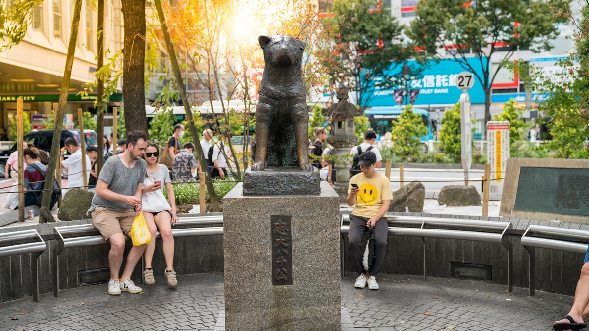 原來活得好好的…澀谷地標「忠犬八公」藏驚人祕密，親眼見銅像揭幕「卻死了兩次」