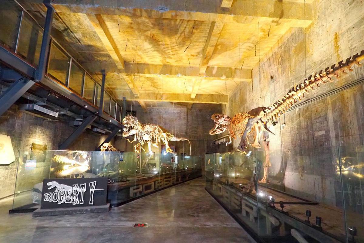 【全台遛小孩8路線】宜蘭2天1夜好好玩，計程車博物館最夯新點，還可餵小鹿、看恐龍化石