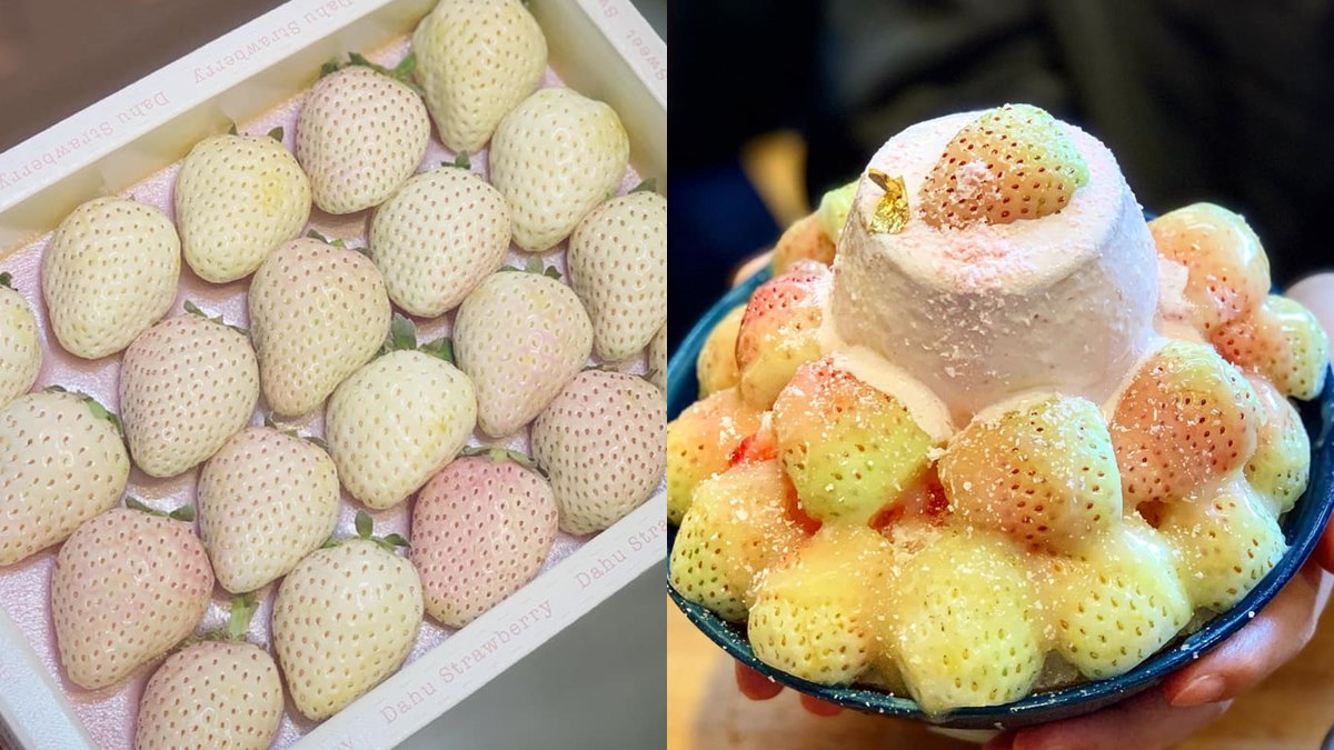 一天限量10碗！台南夯店獨家推「雪兔白草莓冰」，還有「神奇版芋泥冰」超浮誇