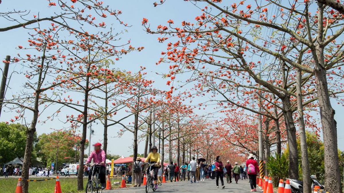 全球最美！3月必拍橘紅花道在這裡，加碼再推薦14處熱門賞花點