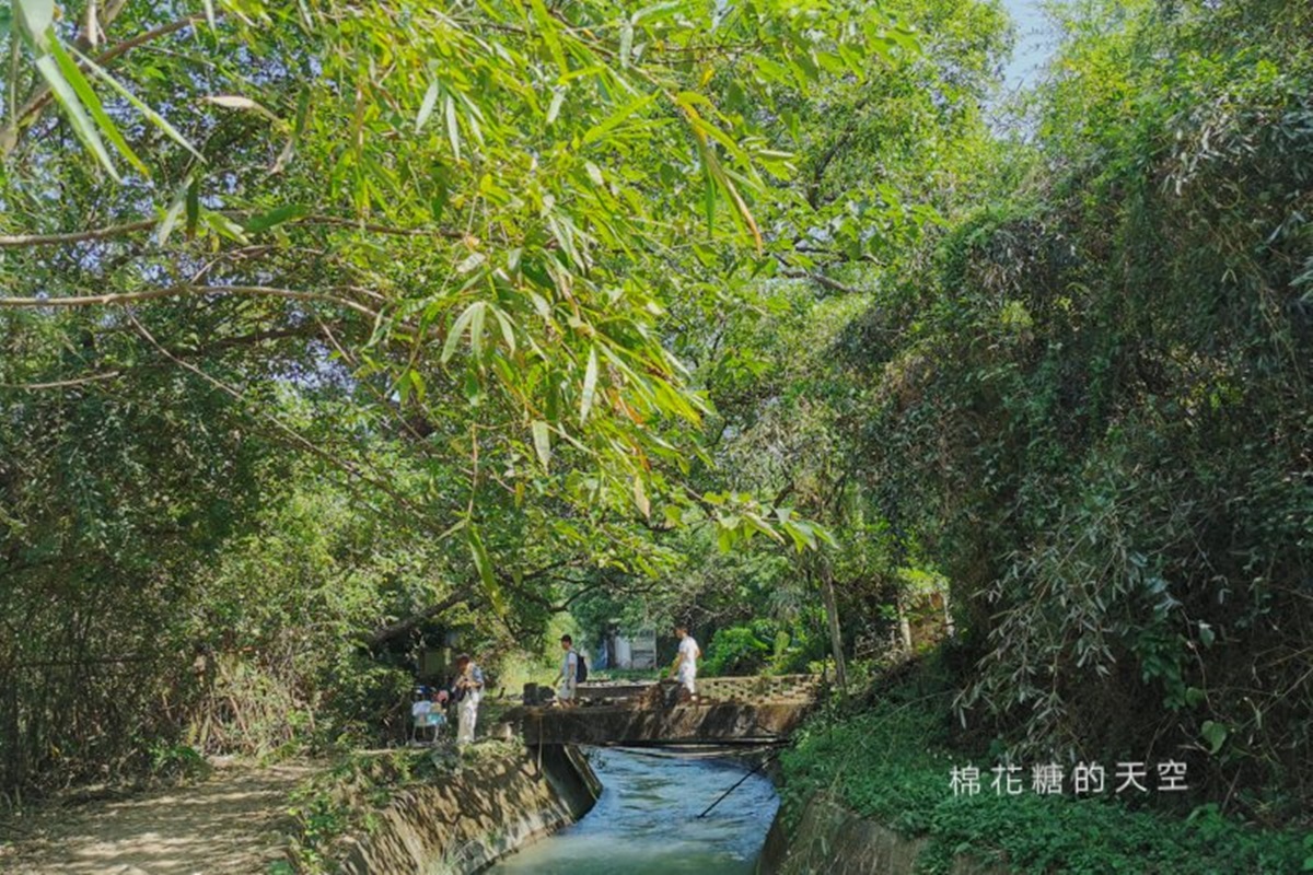 【全台28大綠色祕境】中台灣「異國系」景點6選：迷你富士山、巧克力色森林、千尋隧道