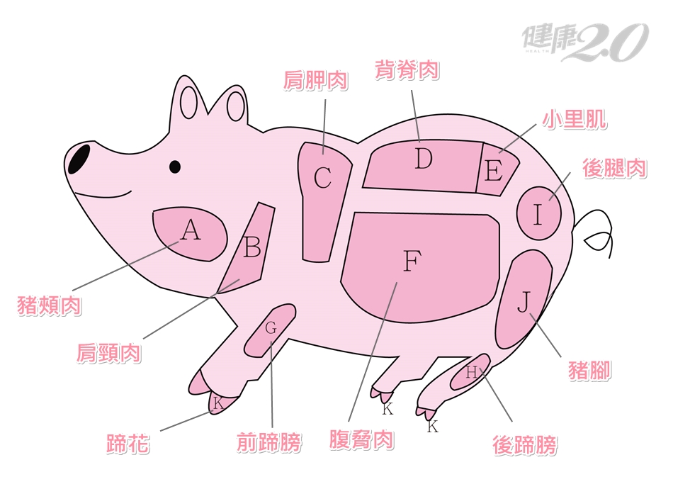 里肌、梅花、排骨、松阪豬…圖解11種豬肉部位、秒懂怎麼挑怎麼煮