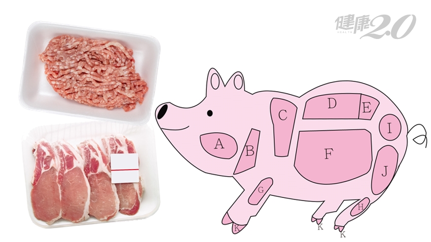 里肌 梅花 排骨 松阪豬 圖解11種豬肉部位 秒懂怎麼挑怎麼煮 健康2 0