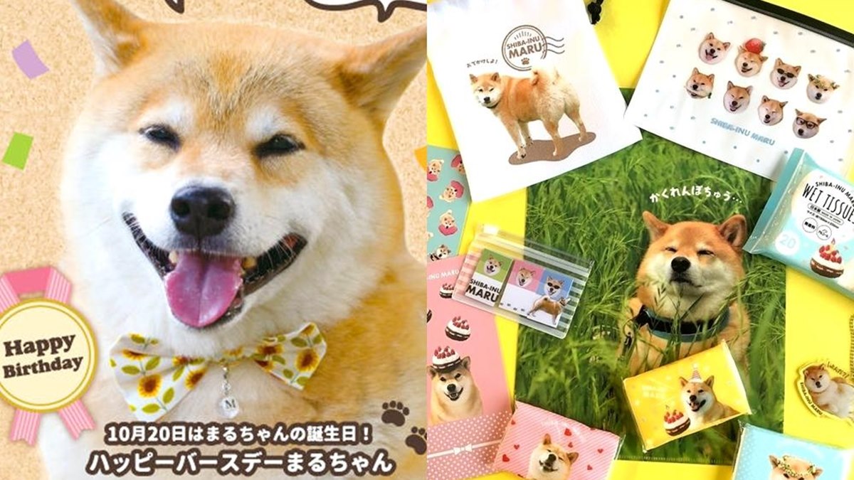均一價49元！日本最夯百元商店「Can Do」來了，富士山、柴犬等獨家商品搶先看