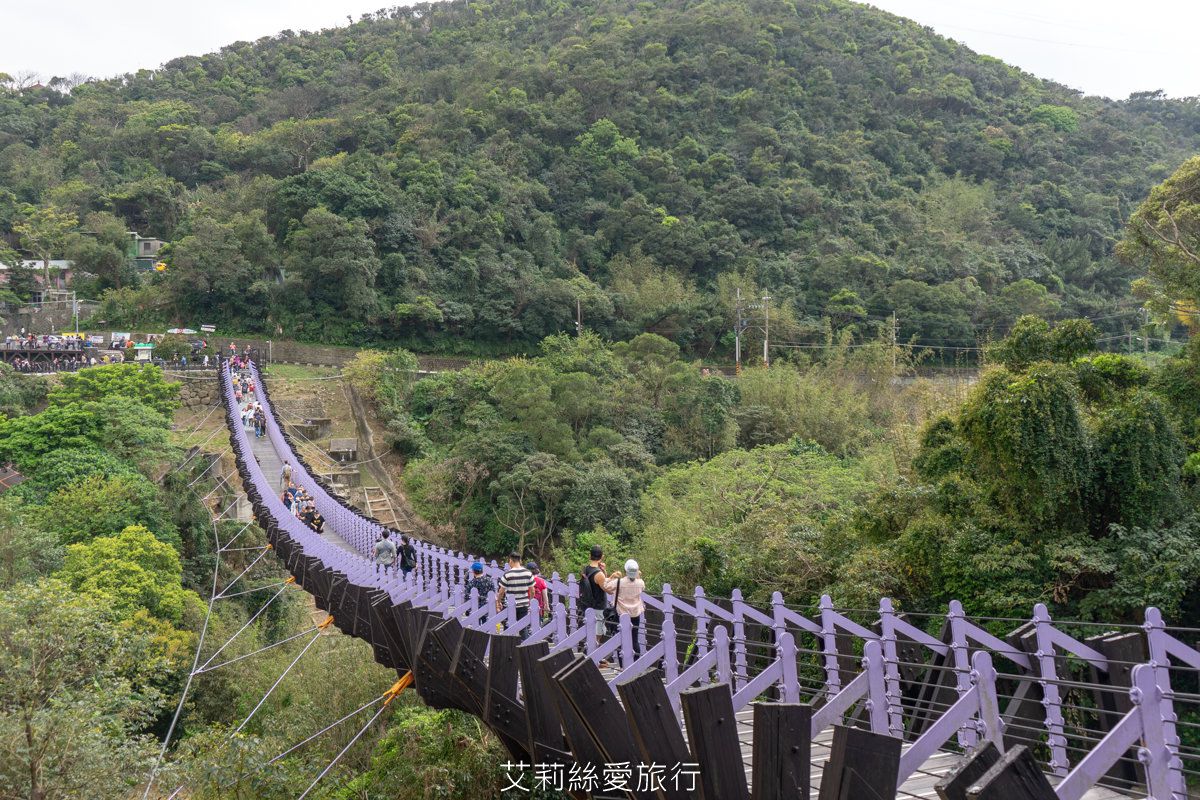 【全台15座絕美吊橋】安全距離小旅行！俯瞰36彎公路、摩天輪，「吊橋上的台灣」原來這麼美