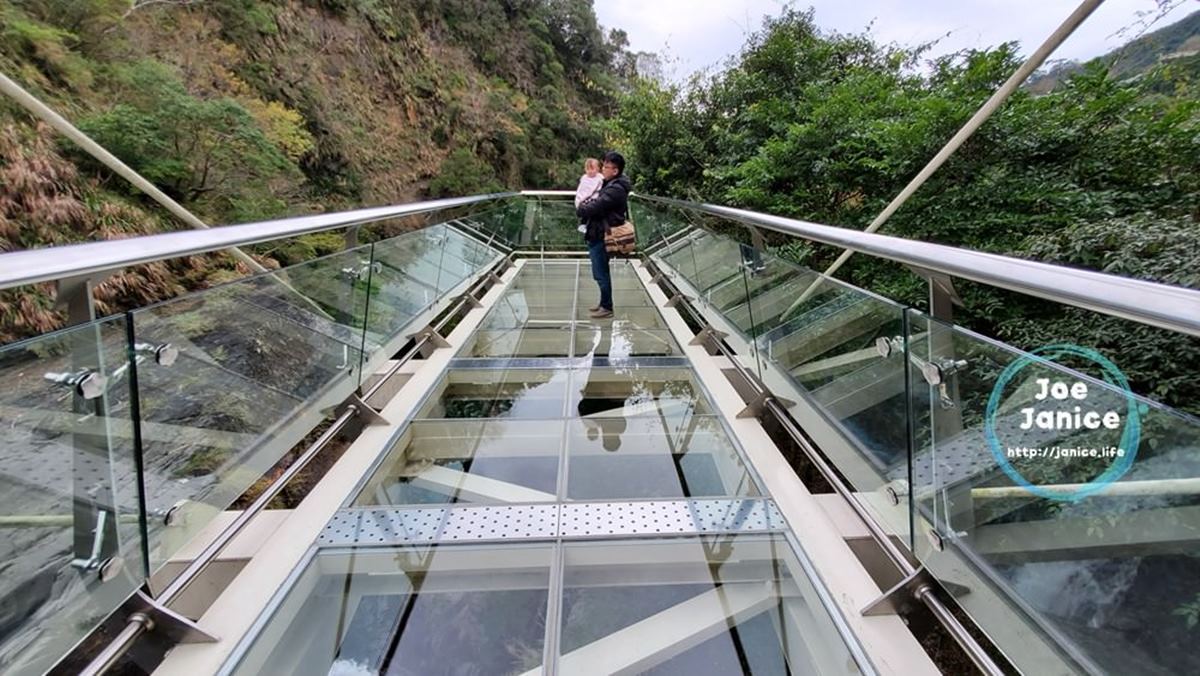 桃園芬多精一日遊4打卡點：15層樓高水管橋、透明天空步道、千年神木保護區