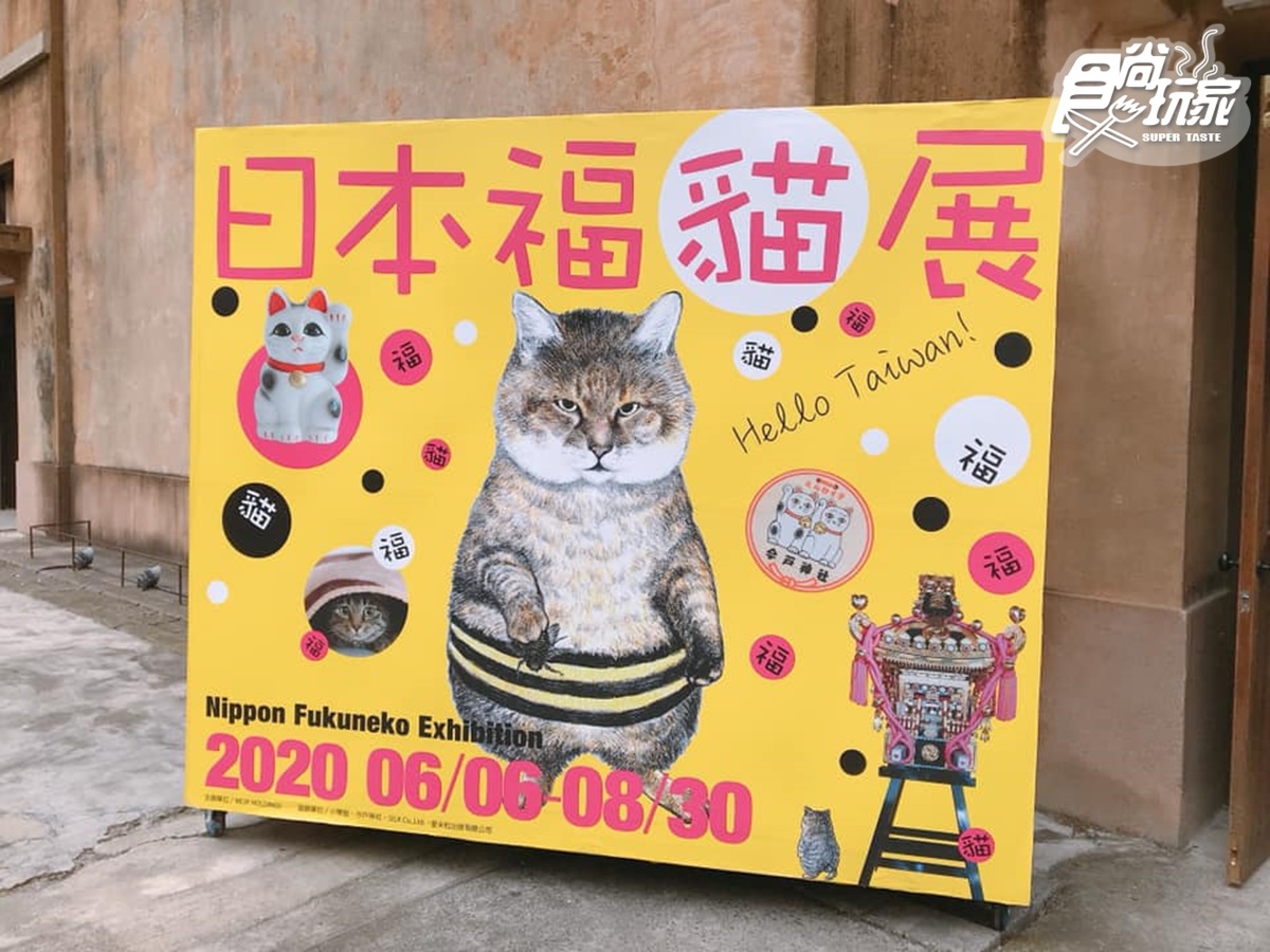 貓奴衝了！超萌「日本福貓展」降臨華山，日劇結緣神轎、人氣喵漫畫海外首展都在這