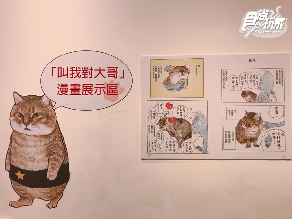 貓奴衝了！超萌「日本福貓展」降臨華山，日劇結緣神轎、人氣喵漫畫海外首展都在這