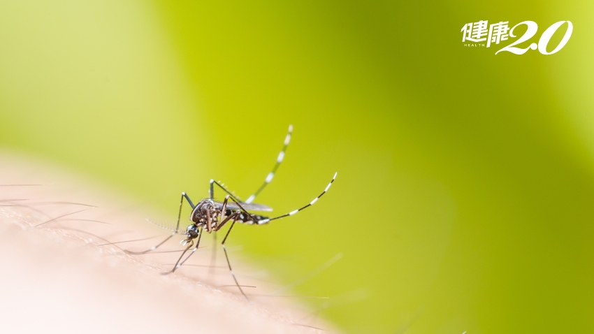 注意了！疾管署提醒「5個地區」登革熱病媒蚊警戒