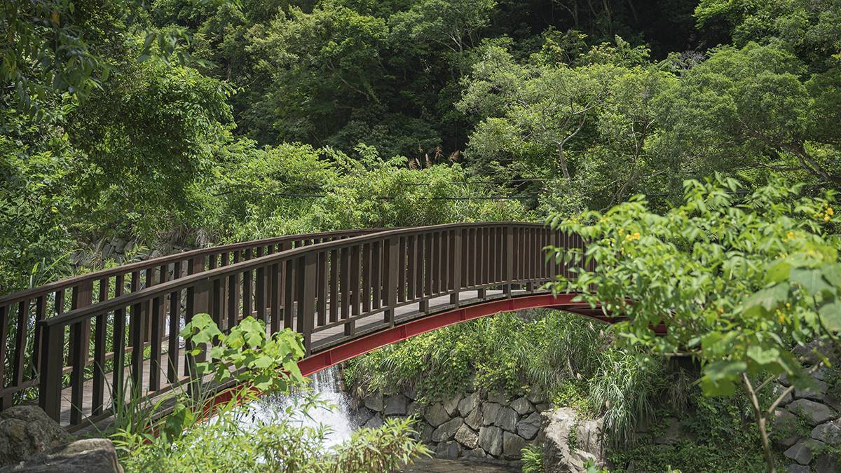 來回半小時！新竹超好走步道賞老鷹、森林、溪谷，祕境瀑布宛如電影場景