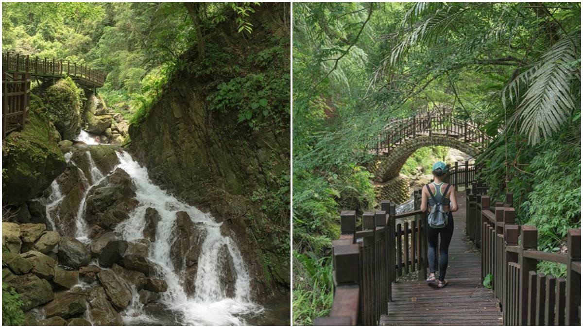 來回半小時！新竹超好走步道賞老鷹、森林、溪谷，祕境瀑布宛如電影場景