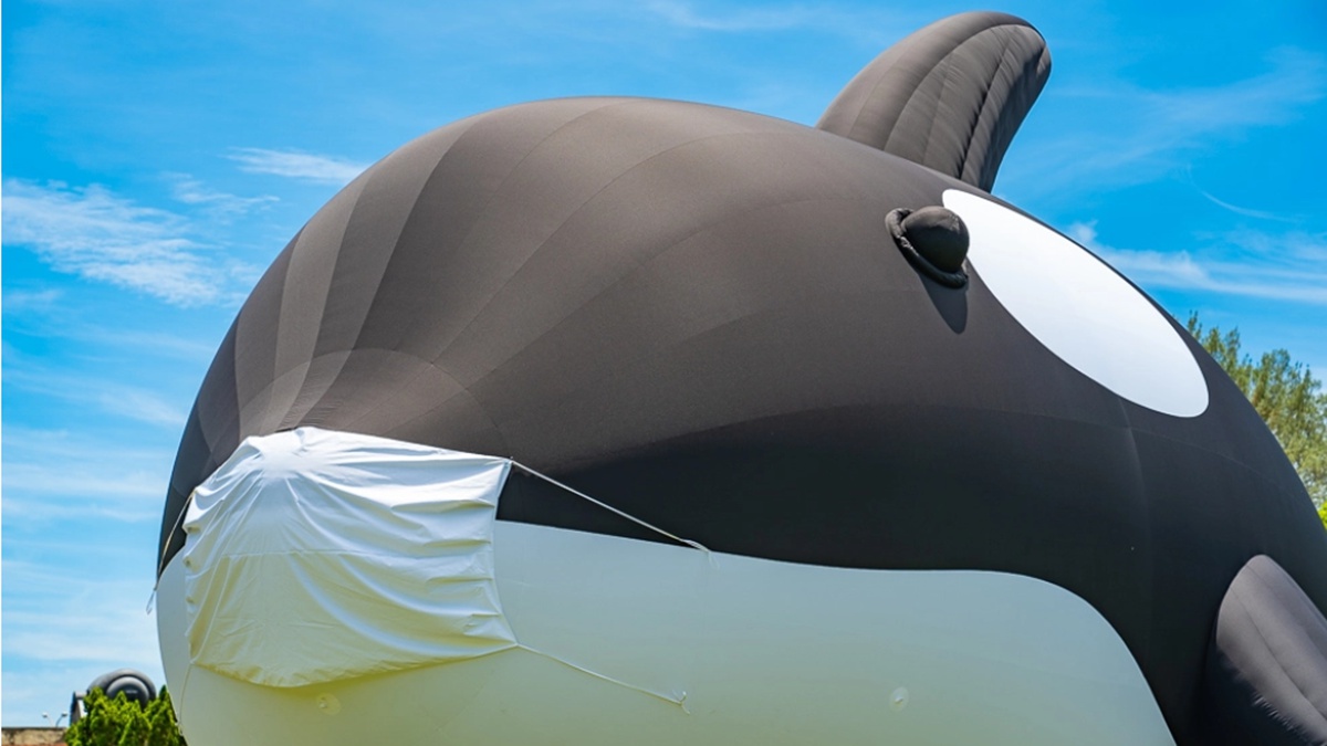 台南限時打卡新景點！世界最大「虎鯨」戴口罩隔離檢疫中，想拍只到7/11