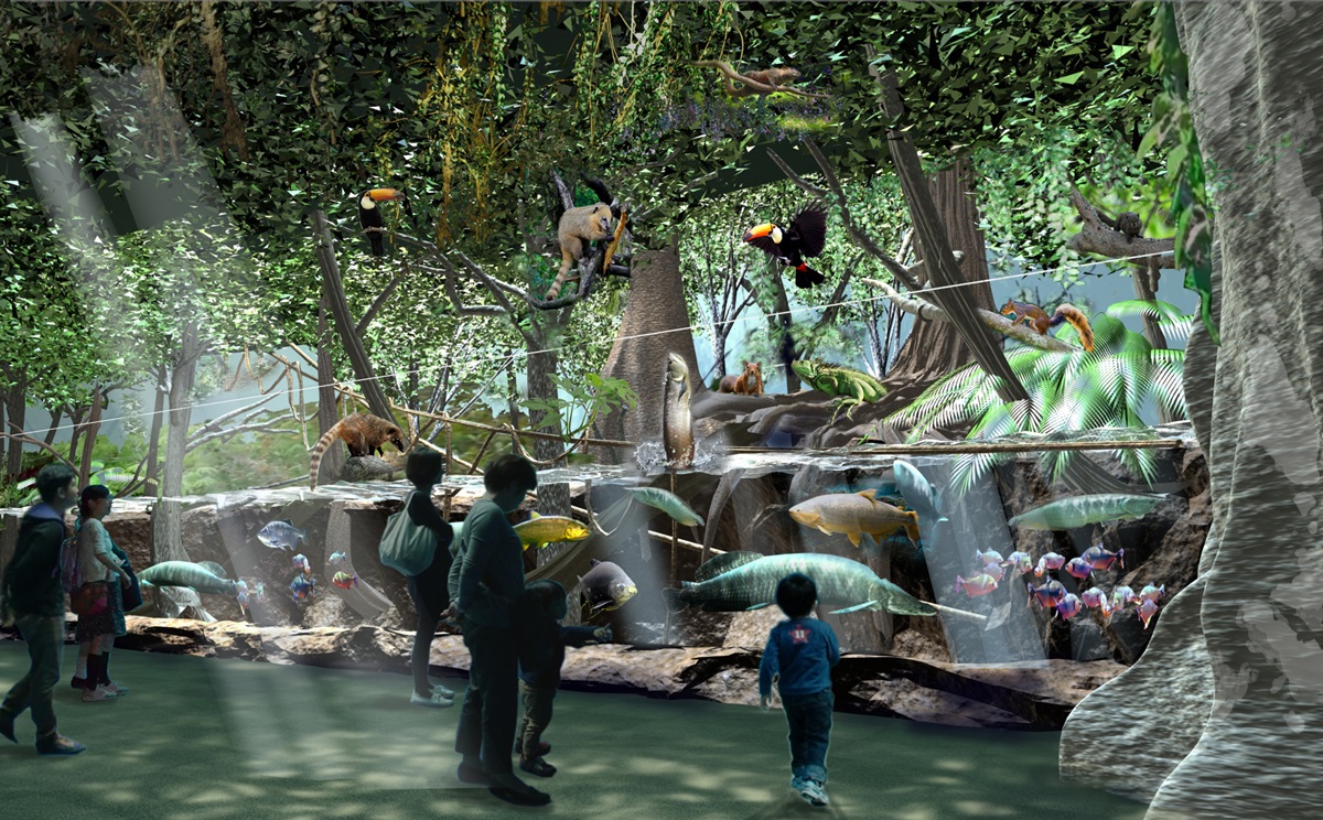 北台最大水族館「Xpark」宣布開幕！4層樓觀景窗、360度演出，還有超萌「企鵝咖啡館」