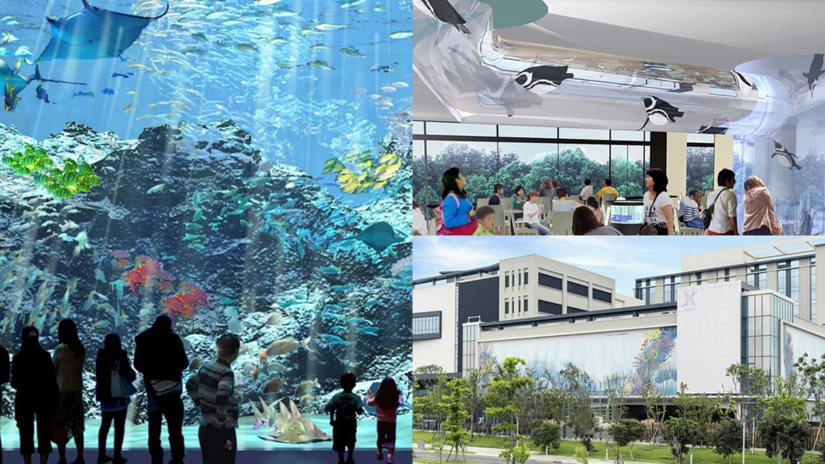 北台最大水族館「Xpark」宣布開幕！4層樓觀景窗、360度演出，還有超萌「企鵝咖啡館」