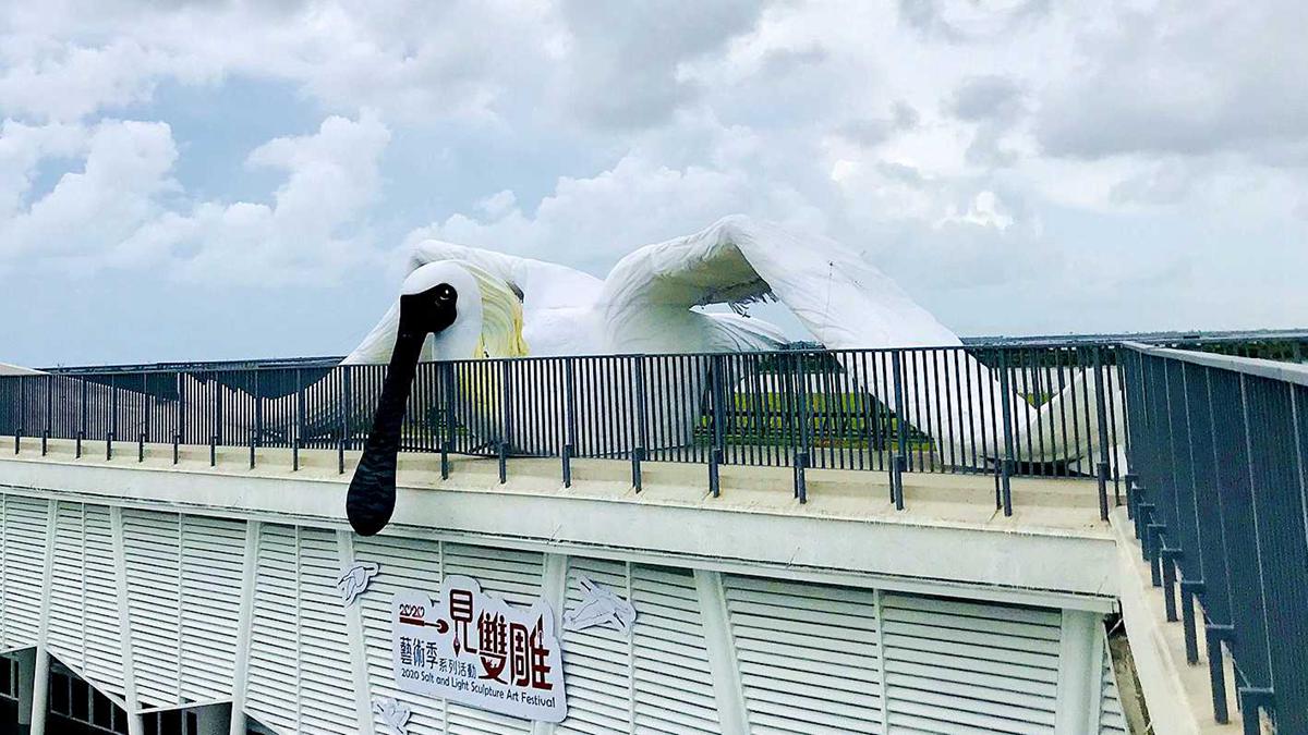台南最新打卡點！台灣最大16公尺長「黑面琵鷺」現身網美級遊客中心