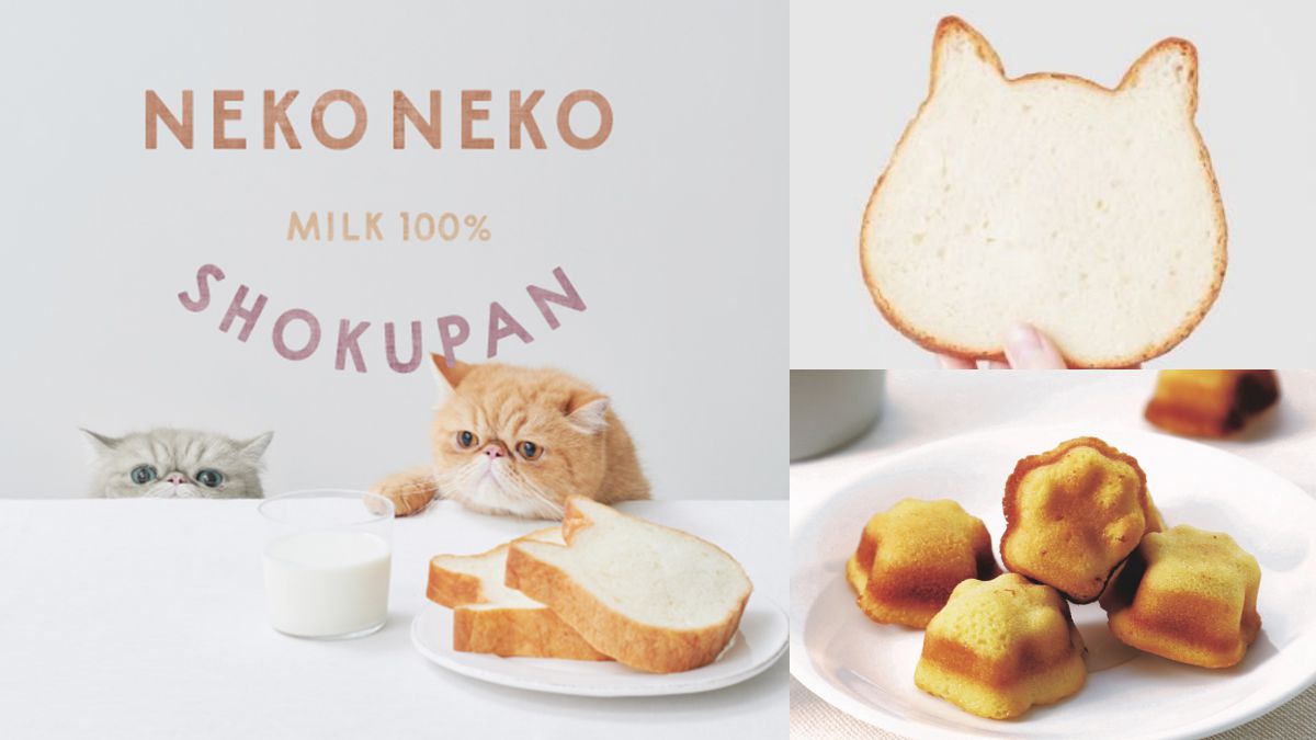 日本夯爆「貓咪生吐司」來了！「NEKO NEKO SHOKUPAN貓咪吐司專賣店」預計這時開