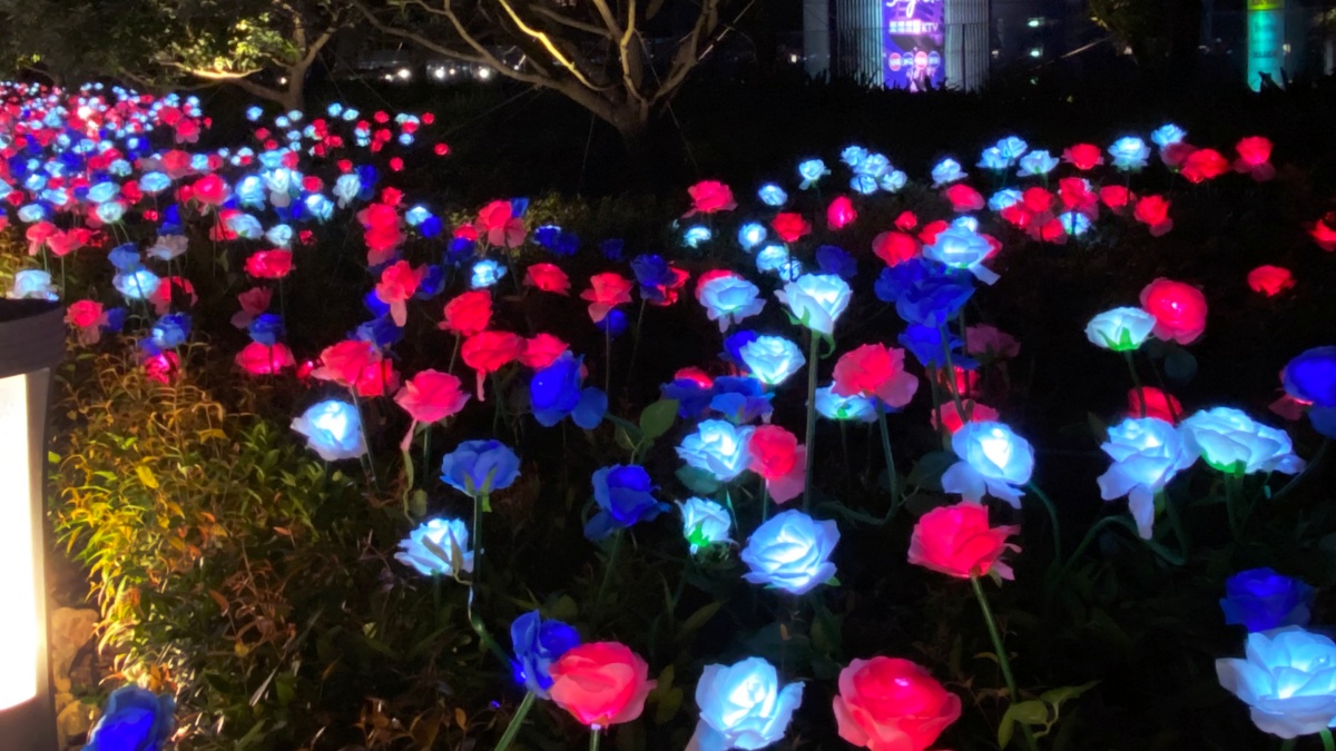 打卡熱點再一波！夢幻「4000朵玫瑰燈海」就在信義區，讓你美到親友都讚嘆