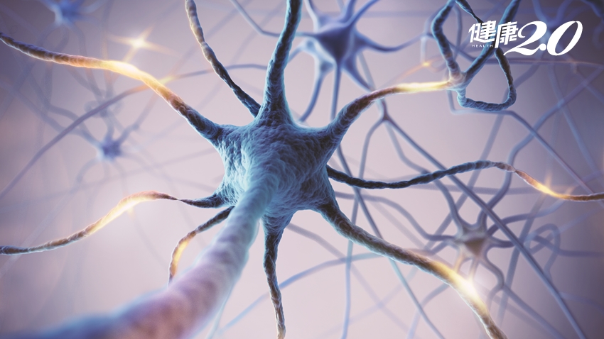 神經再生新突破！「幹細胞外泌體」修復受損神經 可逆腦損傷、神經退化疾病